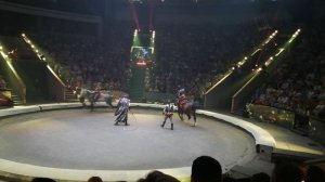 ЛЕГЕНДА (часть 2)