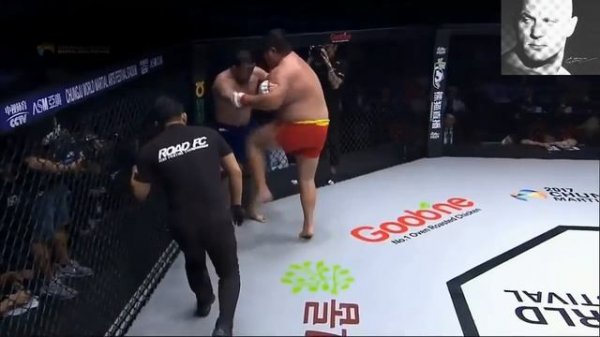Kung Fu Panda CHINESE heavyweight in a cage