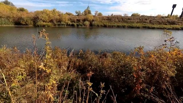 Щука на Поплавок с берега в Октябре смотреть онлайн