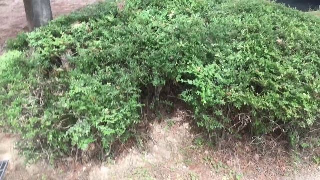 ШОК! ЛЮДИ ВЫКИДЫВАЮТ ХОРОШИЕ ВЕЩИ В КОРЕЕ! ХАЛЯВА В ЮЖНОЙ КОРЕЕ смотреть онлайн