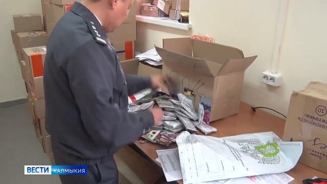В Калмыкии изъяли партию некачественной продукции семеноводства.mp4 смотреть онлайн