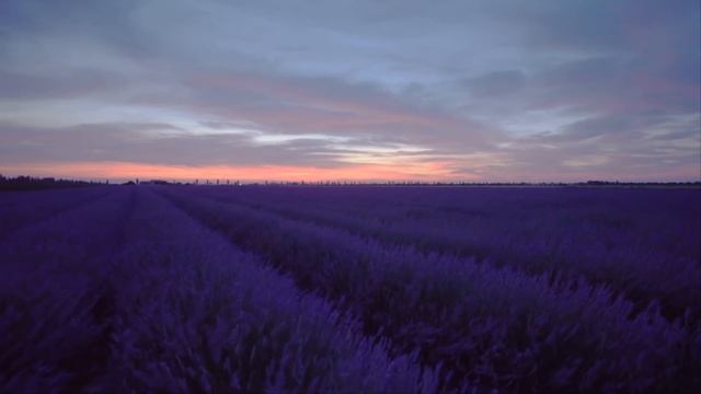 После родов мне принесли ребёнка и я застыла от ужаса, когда увидела его… смотреть онлайн