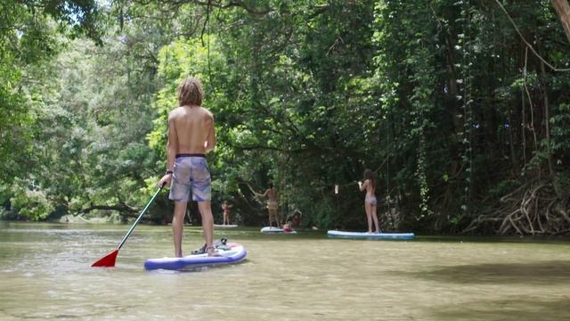 rob's Paradise смотреть онлайн