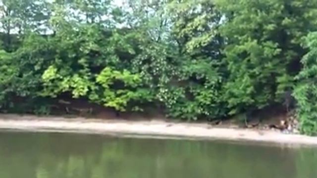 Национальный природный парк - Великий луг , НЕРЕСТ, ЧАСТЬ-2 смотреть онлайн