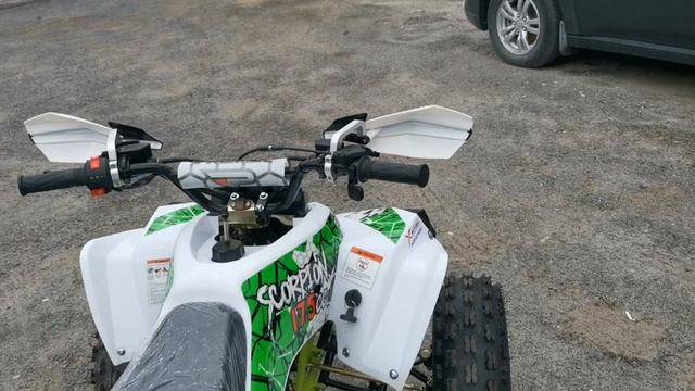 Стоит покупать КВАДРОЦИКЛ PROMAX SCORPION 180CC??? Мой отзыв и обзор!