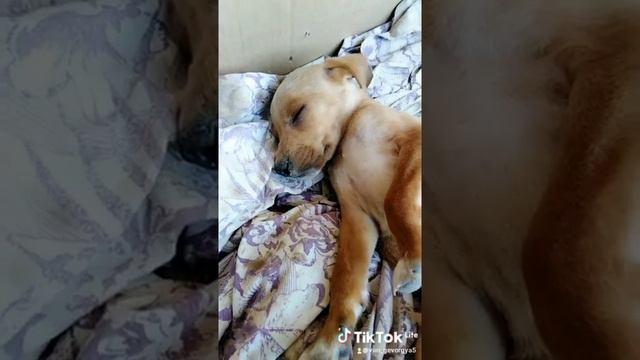 mARNEULI смотреть онлайн