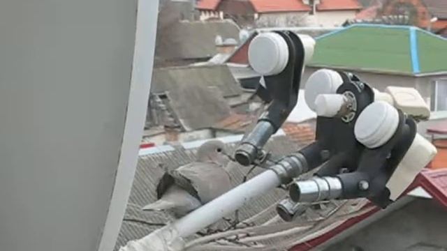 Горлицы сторим гнездо_1 смотреть онлайн