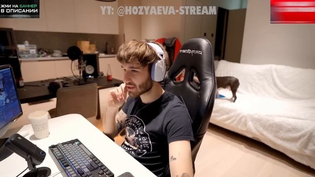 НОВЫЙ ПИТОМЕЦ КОРЕША И ВИШЕНКИ ЗА 150.000 РУБЛЕЙ! КОРЕШ ОЧЕНЬ СИЛЬНО СЧАСТЛИВ | Koreshzy, Kosstochk