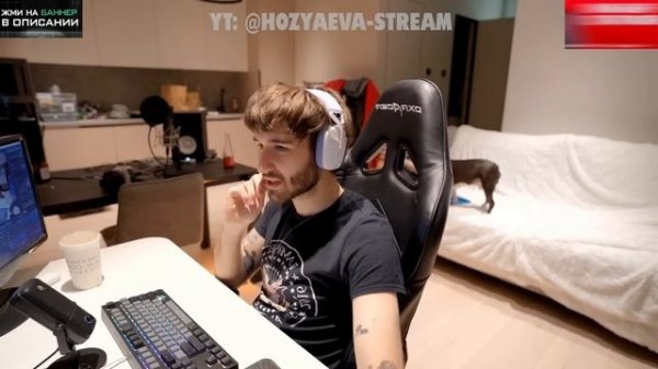 НОВЫЙ ПИТОМЕЦ КОРЕША И ВИШЕНКИ ЗА 150.000 РУБЛЕЙ! КОРЕШ ОЧЕНЬ СИЛЬНО СЧАСТЛИВ | Koreshzy, kosstochk