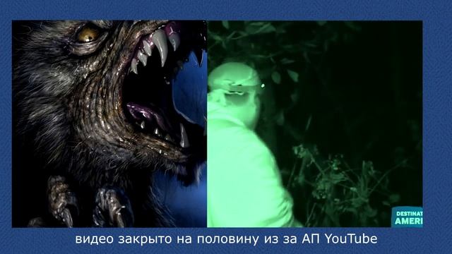 7 ЖУТКИХ СУЩЕСТВ ОБОРОТНЕЙ, СНЯТЫХ НА КАМЕРУ. МИФИЧЕСКИЕ ЧУДОВИЩА смотреть онлайн