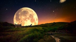 Заговоры и Обряды в Полнолуние. Очень сильный Обряд на исполнение желания в Полнолуние