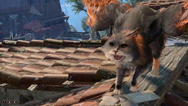 Tara! Leave those pigeons alone!! (Baldur's Gate 3) смотреть онлайн