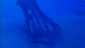 Марианская впадина   жилище не известных существ