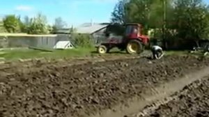 Трактор т-16 и самодельный плуг