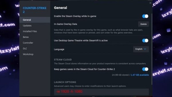 ? CS2 Valve logo crash fix