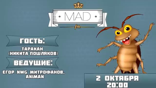 Запись интервью на MAD.fm смотреть онлайн