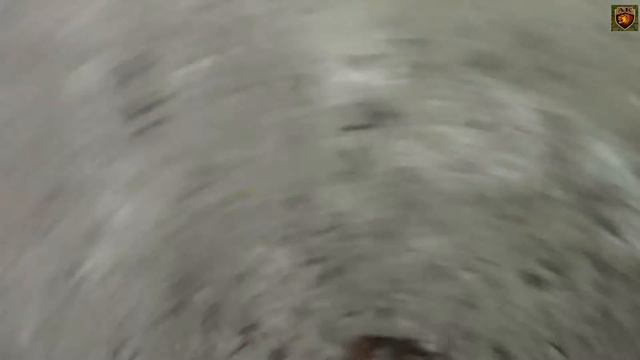 тренировка по зданиям с веревкой. смотреть онлайн