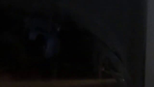 Поездка на заполненном автобусе СимАЗ-2258 по маршруту №22 Ульяновск. смотреть онлайн