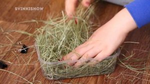 Как сделать сенник для морской свинки: DIY / SvinkiShow