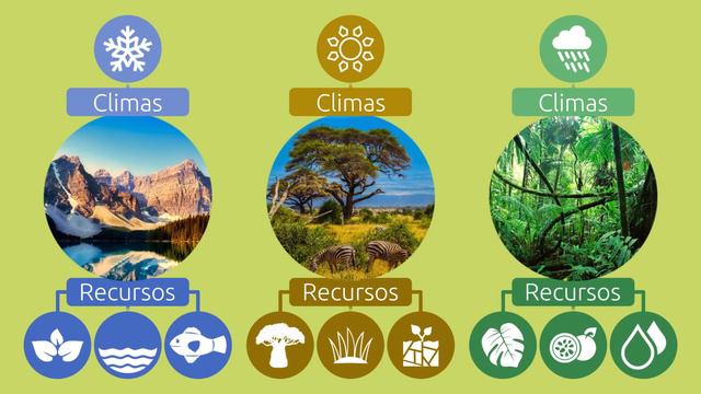 ¿Qué son los ecosistemas? - Tipos de ecosistemas para niños смотреть онлайн