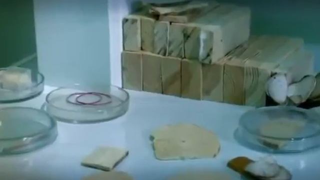 Наука 2.0 Дерево. смотреть онлайн