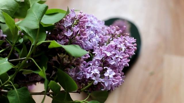 Композиция из сирени. смотреть онлайн