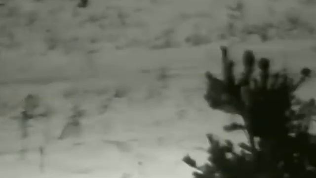 Dziczek za płotem( E3max v.2 ) смотреть онлайн