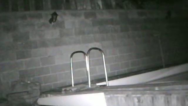 Ночная запись на видеокамеру CCTV K913A (с датчиком движения). запись на micro CD. (AV) смотреть онлайн