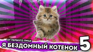 Я БЕЗДОМНЫЙ КОТЕНОК. От первого лица. Серия 5
