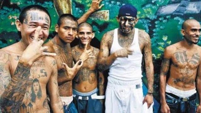 Самые опасные банды мира топ 5 смотреть онлайн