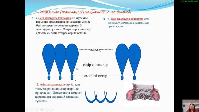 Видеозанятия СКГУ им.М.Козыбаева смотреть онлайн