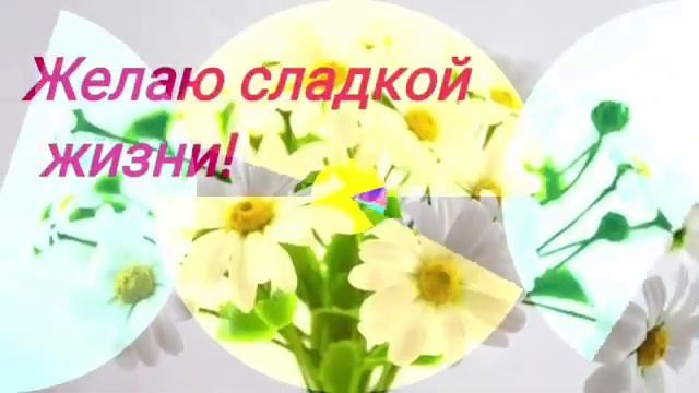 Про ромашки смотреть онлайн
