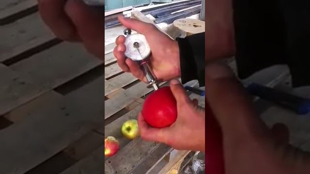 Реализуем крымские яблоки смотреть онлайн
