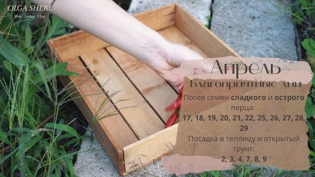 Лунный Посевной Календарь Для Перцев на 2022 год! Когда сеять? смотреть онлайн
