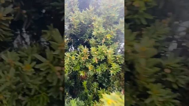 Тис Хилли ) продажа , прямо сейчас , в группе телеграмм https://t.me/S76Olga_76 смотреть онлайн