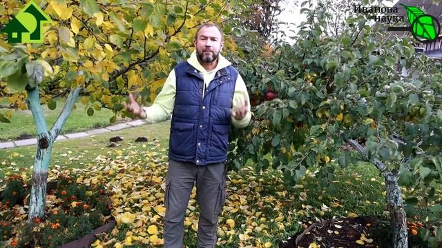 ЛУЧШИЕ СРОКИ и РЕЦЕПТЫ ИСКОРЕНЯЮЩЕЙ ОБРАБОТКИ САДА. Обработайте сад от болезней и вредителей. смотреть онлайн