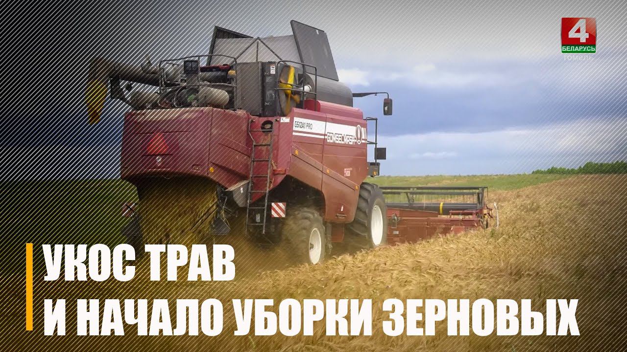 На Гомельщине скошено 82% трав 1-го укоса и началась уборка зерновых смотреть онлайн