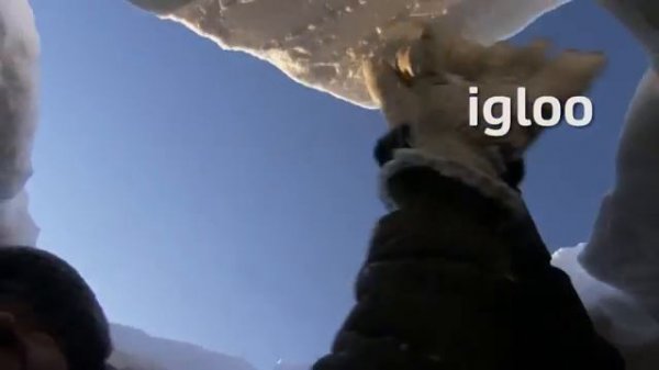 Go Getter 3 Get Culture The Arctic