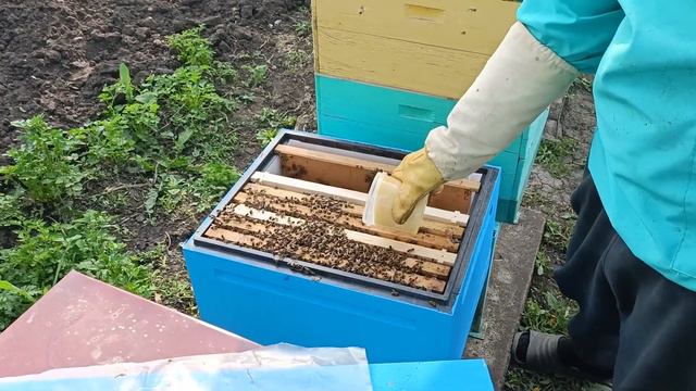 Рой СЛЁТ КОНТРОЛЬ НИКОТ ЗАСЕЯЛИ 13 МАЯ смотреть онлайн