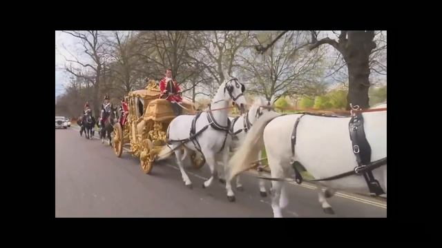 Свадьба Саида Гуцериева и Хадижи в Лондоне состоялась! смотреть онлайн