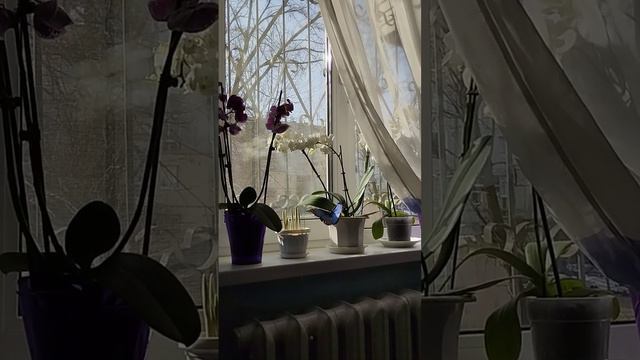 Знай , что Ангелы не спят , Они смотрят на тебя 🦋🕎🦋 смотреть онлайн