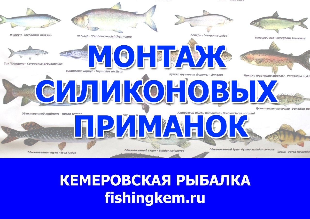 Монтаж силиконовых приманок. Выбор крючка. Выбор груза. Оснащение силиконовых приманок смотреть онлайн