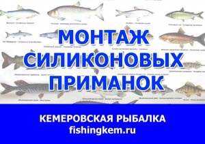 Монтаж силиконовых приманок. Выбор крючка. Выбор груза. Оснащение силиконовых приманок