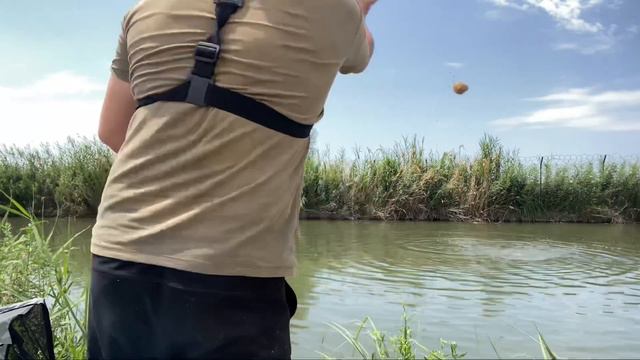 Рыбалка на Сырдарье. Канале ЮЛДУЗ. ТУРНИР ПО ПОПЛАВОЧНОЙ ЛОВЛЕ 3 ЭТАП. смотреть онлайн