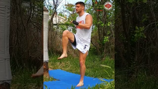 Kyokushin karate Feodosiya / Киокушин каратэ Феодосия смотреть онлайн