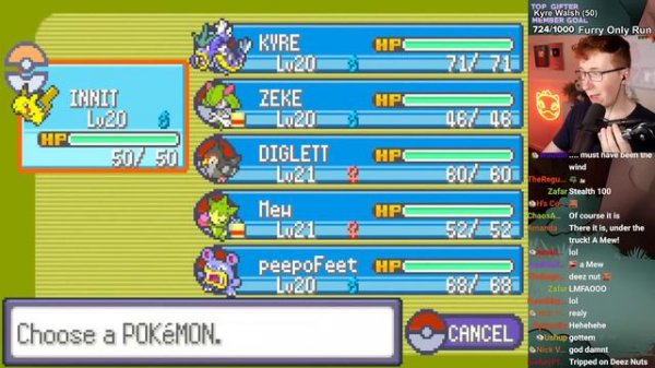 The Pokemon game with Too Many Types