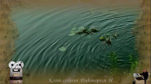 «Плывёт веночек»
 Золотое кольцо