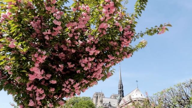 САМЫЕ КРАСИВЫЕ УГОЛКИ ПАРИЖА, ПЕРЕЕЗД + КАК ДОБРАТЬСЯ ИЗ АЭРОПОРТА смотреть онлайн