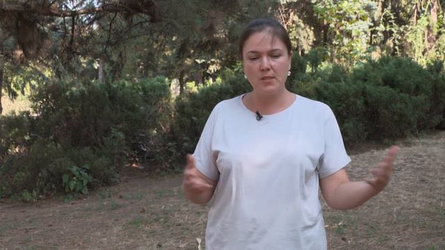 Романтические сюрпризы