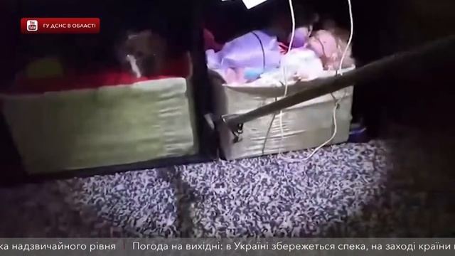 У Дніпрі в приватному будинку виловили змію смотреть онлайн